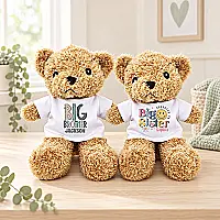 Adorable Big Brother / Sister Teddy Bear Gift