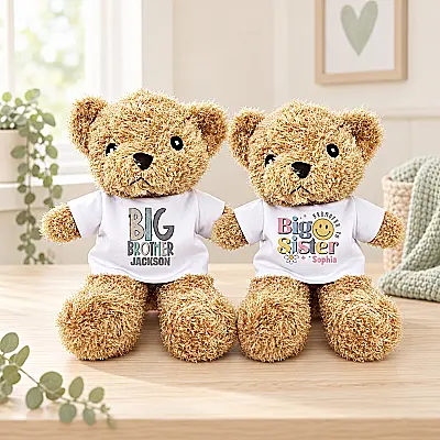 Adorable Big Brother / Sister Teddy Bear Gift