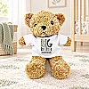 Adorable Big Brother / Sister Teddy Bear Gift