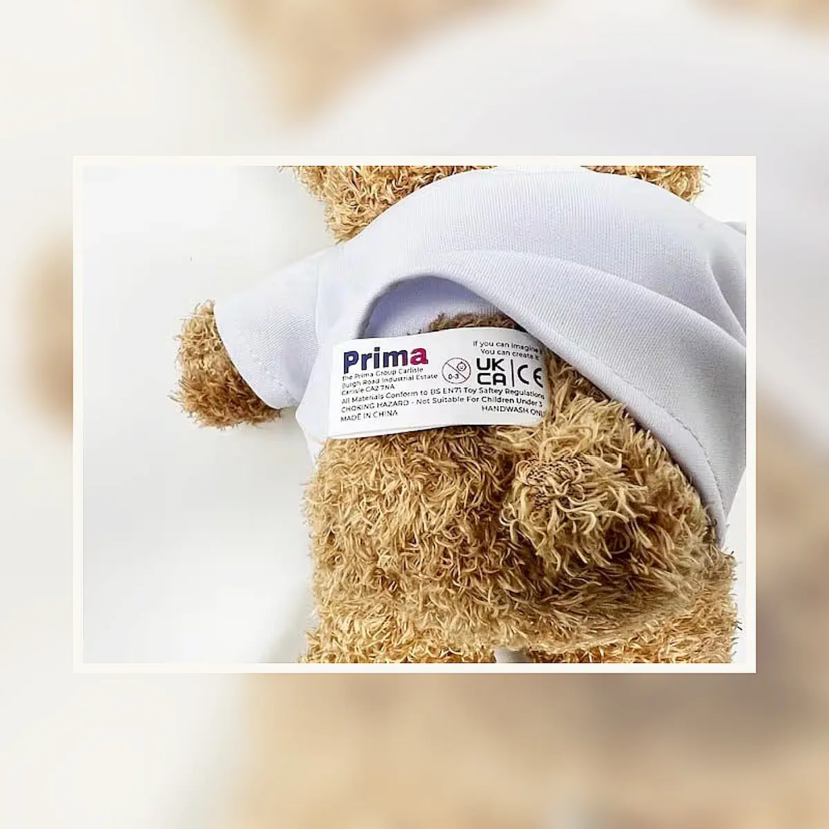 Adorable Big Brother / Sister Teddy Bear Gift
