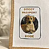 Personalised Pet Travel Bag with Photo – Doggy Passport