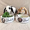 Personalised Pet Bowl with Photo &amp; Name