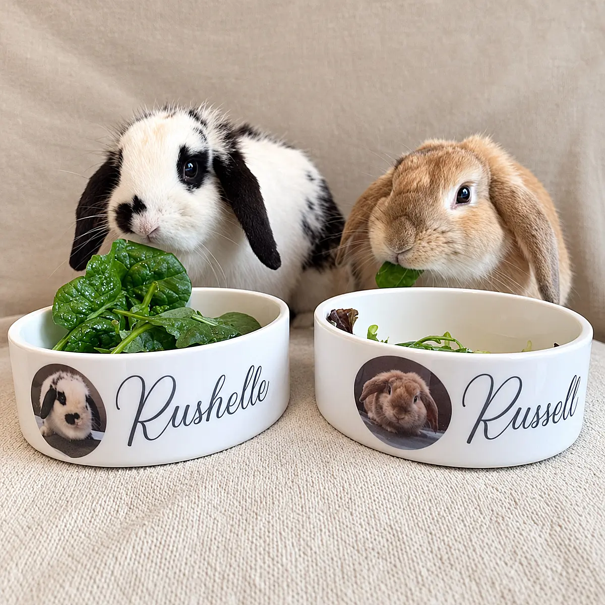Personalised Pet Bowl with Photo &amp; Name