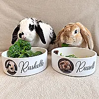 Personalised Pet Bowl with Photo & Name