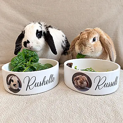 Personalised Pet Bowl with Photo & Name