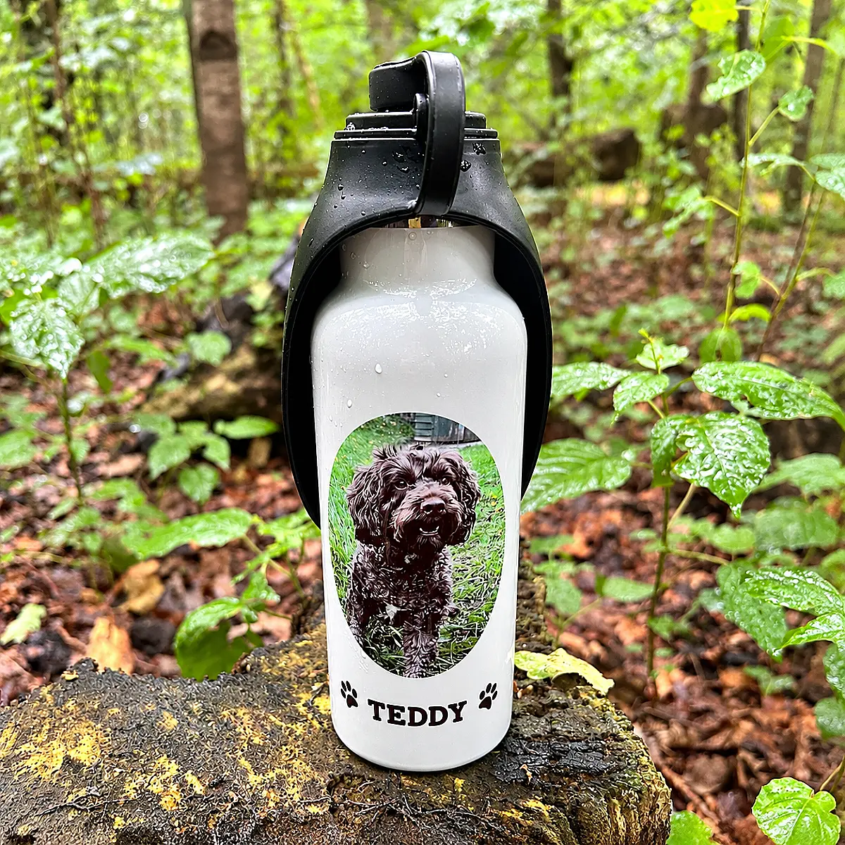 Personalised Dog Water Bottle with Photo &amp; Name – 600ml