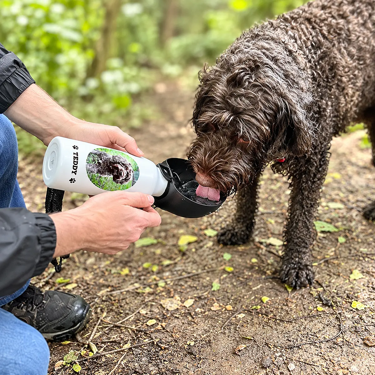 Personalised Dog Water Bottle with Photo &amp; Name – 600ml