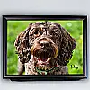 Personalised Photo Lap Tray – Your Own Photo