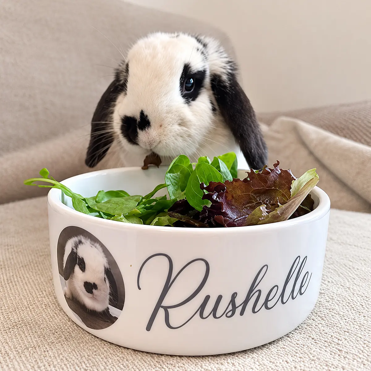 Personalised Pet Bowl with Photo &amp; Name